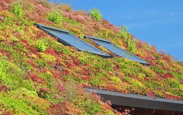 Brocketsbrae living roof systems